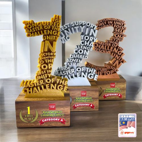 Custom Made 3D Trophy